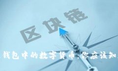 : 区块链钱包中的数字货币
