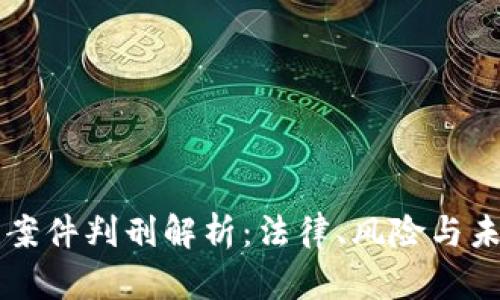 虚拟币案件判刑解析：法律、风险与未来发展