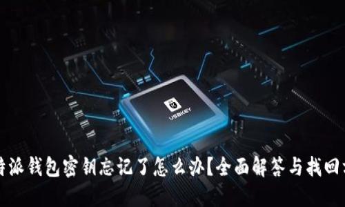 比特派钱包密钥忘记了怎么办？全面解答与找回方法