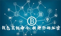 : 探索虚拟币钱包高级命令