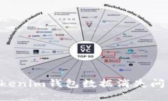 如何解决Tokenim钱包数据消