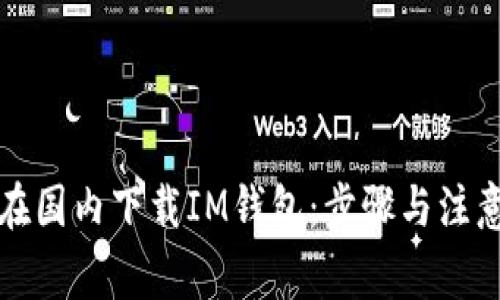 如何在国内下载IM钱包：步骤与注意事项