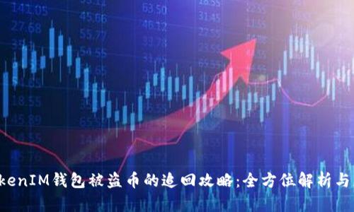 TokenTokenIM钱包被盗币的追回攻略：全方位解析与应对措施
