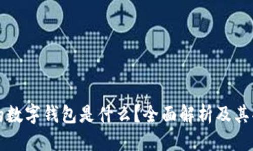 优质
区块链上的数字钱包是什么？全面解析及其功能与应用