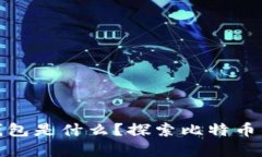 最早的区块链钱包是什么？探索比特币钱包的发