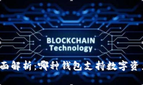全面解析：哪种钱包支持数字资产？