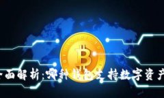 全面解析：哪种钱包支持数字资产？
