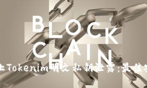 如何防止Tokenim明文私钥泄露：最佳安全实践