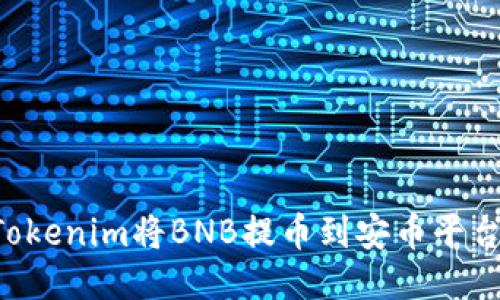 如何通过Tokenim将BNB提币到安币平台：详细指南