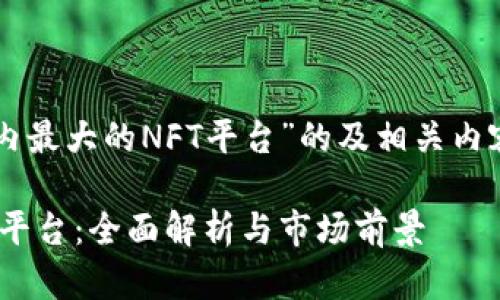 以下是关于“国内最大的NFT平台”的及相关内容的大纲和结构：

国内最大的NFT平台：全面解析与市场前景
