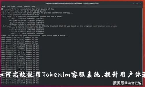 如何高效使用Tokenim客服系统，提升用户体验