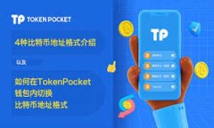 biao-ti/biao-ti开通数字钱包怎么获取资金？详细指
