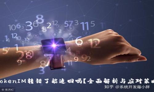 TokenIM转错了能追回吗？全面解析与应对策略