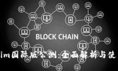 Tokenim国际版公测：全面解析与使用指南