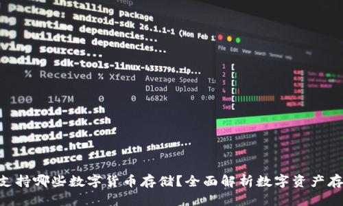 Tokenim支持哪些数字货币存储？全面解析数字资产存储与管理