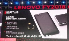 Tokenim项目的风险评估与管