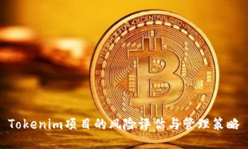 Tokenim项目的风险评估与管理策略