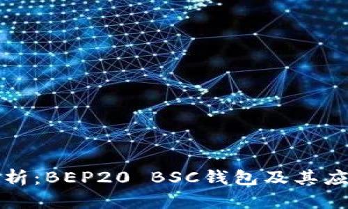 全面解析：BEP20 BSC钱包及其应用场景