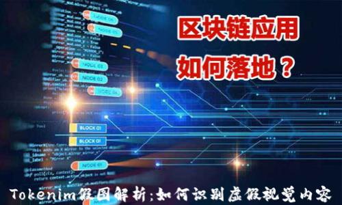 
Tokenim假图解析：如何识别虚假视觉内容