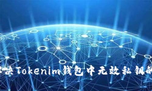 如何解决Tokenim钱包中无效私钥的问题？