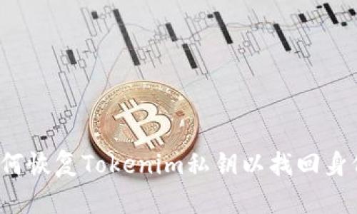 如何恢复Tokenim私钥以找回身份？
