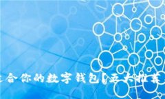 如何选择适合你的数字钱