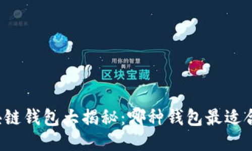 区块链钱包大揭秘：哪种钱包最适合你？