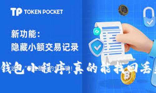 区块链找回钱包小程序：真的能找回丢失的钱包吗？