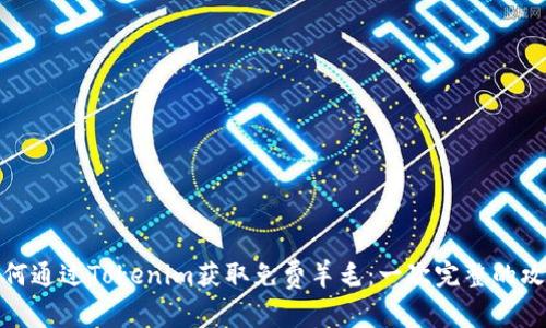 如何通过Tokenim获取免费羊毛：一次完整的攻略