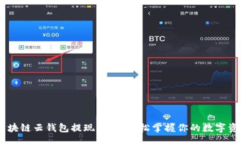 区块链云钱包提现指南：轻松掌握你的数字资产