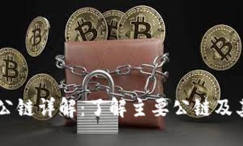 币圈公链详解：了解主要公链及其特点