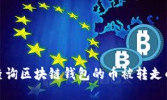 如何查询区块链钱包的币被转走的情况