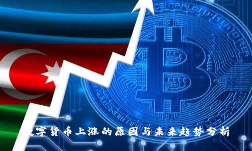 数字货币上涨的原因与未来趋势分析