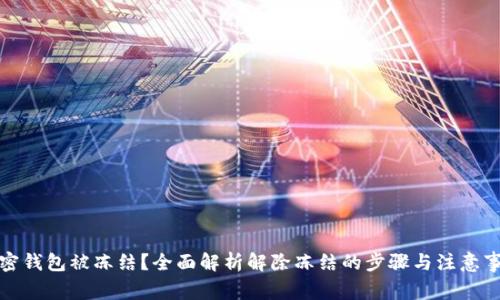 加密钱包被冻结？全面解析解除冻结的步骤与注意事项