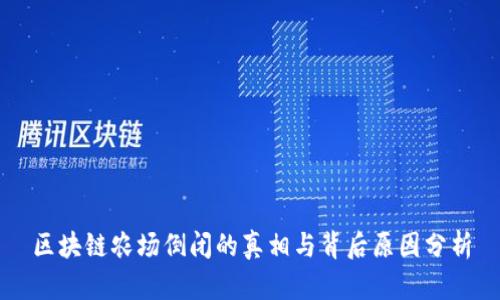 区块链农场倒闭的真相与背后原因分析