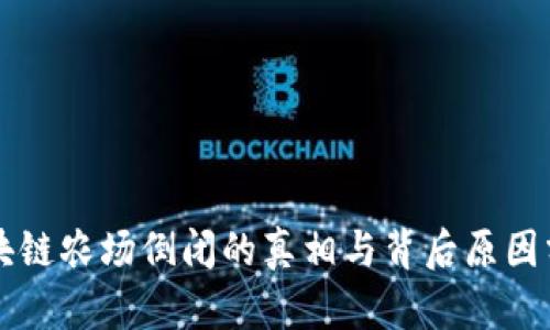 区块链农场倒闭的真相与背后原因分析
