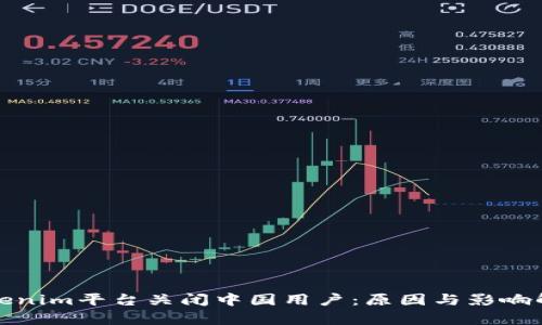 Tokenim平台关闭中国用户：原因与影响解析