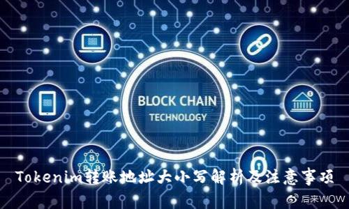 Tokenim转账地址大小写解析及注意事项