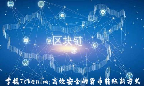 
掌握Tokenim：高效安全的货币转账新方式