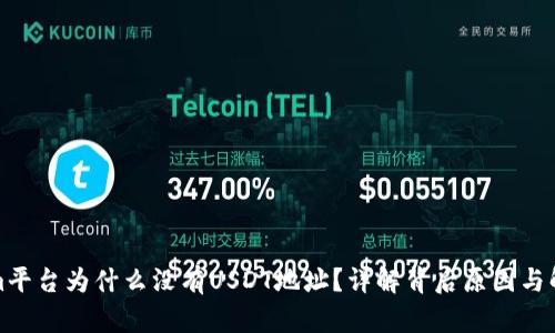Tokenim平台为什么没有USDT地址？详解背后原因与解决方案
