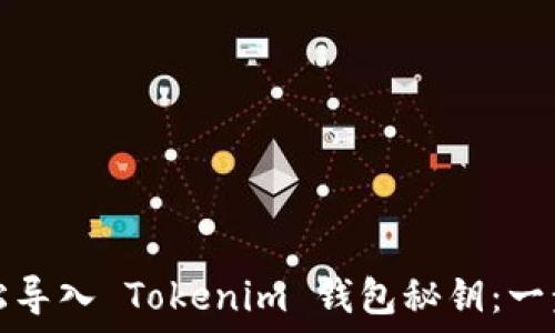   
如何轻松导入 Tokenim 钱包秘钥：一步步指导