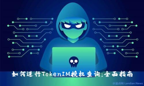 如何进行TokenIM授权查询：全面指南
