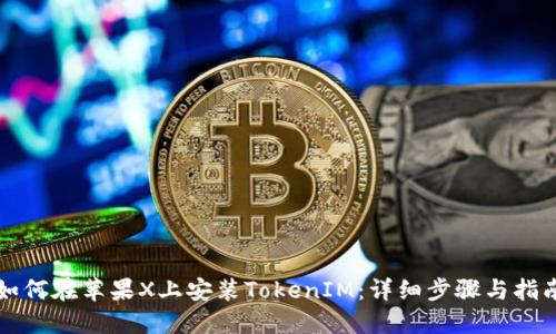 如何在苹果X上安装TokenIM：详细步骤与指南