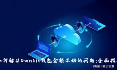 如何解决Ownbit钱包金额不