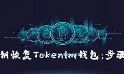 如何通过私钥恢复Tokenim钱包：步骤与注意事项