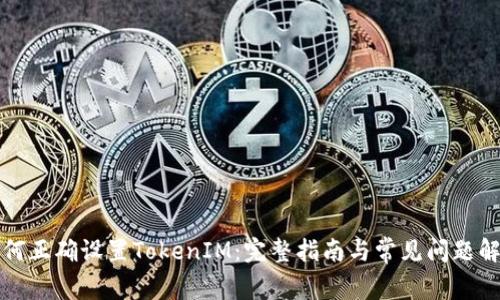 如何正确设置TokenIM：完整指南与常见问题解答