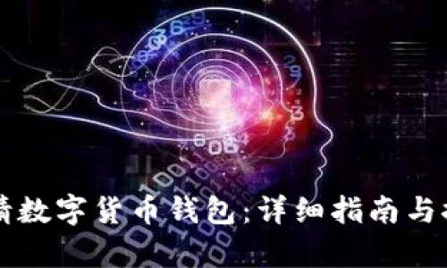 如何申请数字货币钱包：详细指南与推荐平台