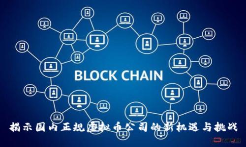 揭示国内正规虚拟币公司的新机遇与挑战