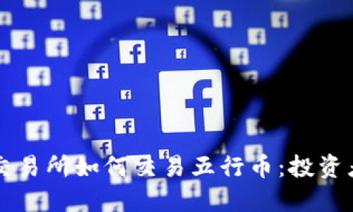 香港交易所如何交易五行币：投资者指南