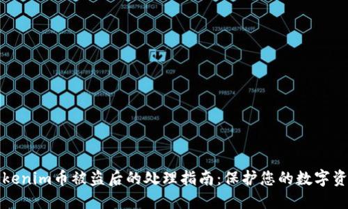 Tokenim币被盗后的处理指南：保护您的数字资产